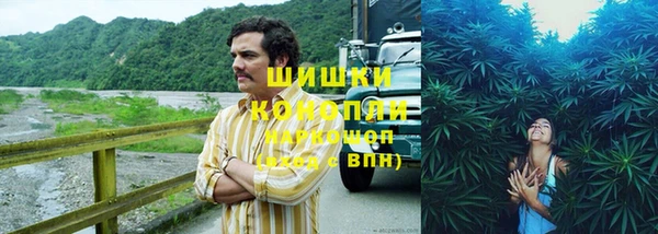спиды Аркадак