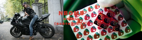 хмурый Пересвет